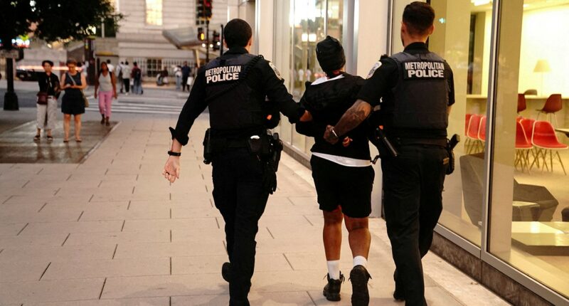 DC politicians kept 'chopping away' at law enforcement, paving way for Trump takeover, former FBI agent says