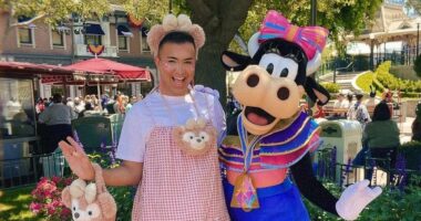 Dark secrets of adult Disney addicts: Sex, betrayal and bankruptcy