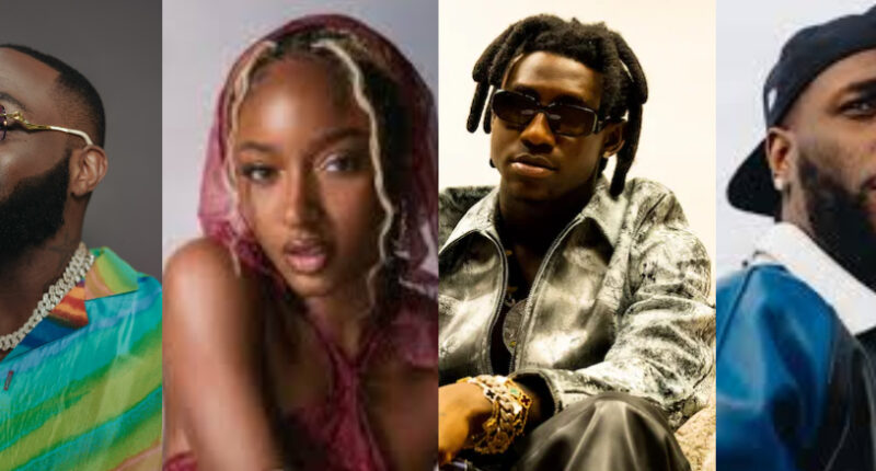 Davido, Burna Boy, Shallipopi, Others Nominated for 2025 AFRIMA