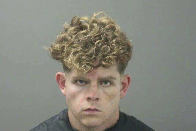 Mugshot of Andrew McGann.