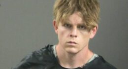 Mugshot of James Andrew McGann.