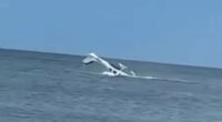Dramatic video captures moment pilot is rescued from submerged plane