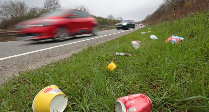 Litter beside a road.