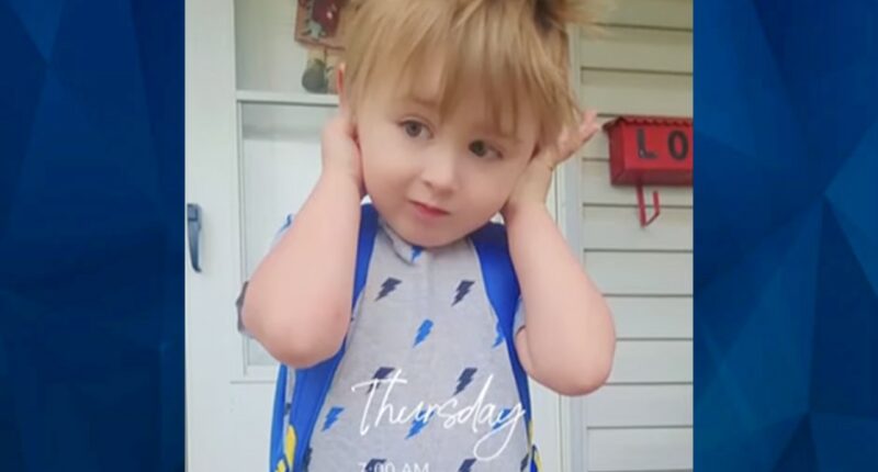 Employee Charged with Murder: Mom Finds 3-Year-Old Autistic Tot Dead at Daycare