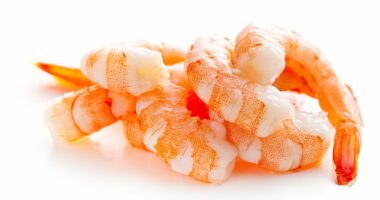 FDA issues urgent 'do not eat' warning for radioactive shrimp