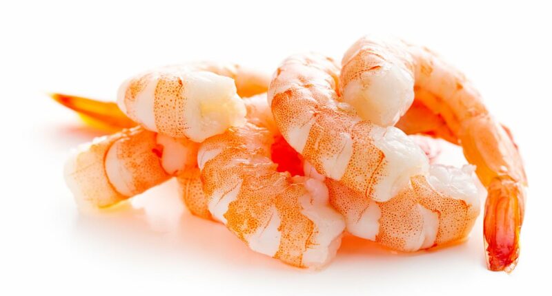FDA issues urgent 'do not eat' warning for radioactive shrimp