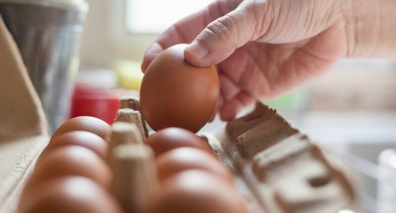 FDA issues urgent recall of eggs contaminated with deadly bacteria