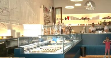 Interior view of Audrey's Bakery in Oderzo, Italy.