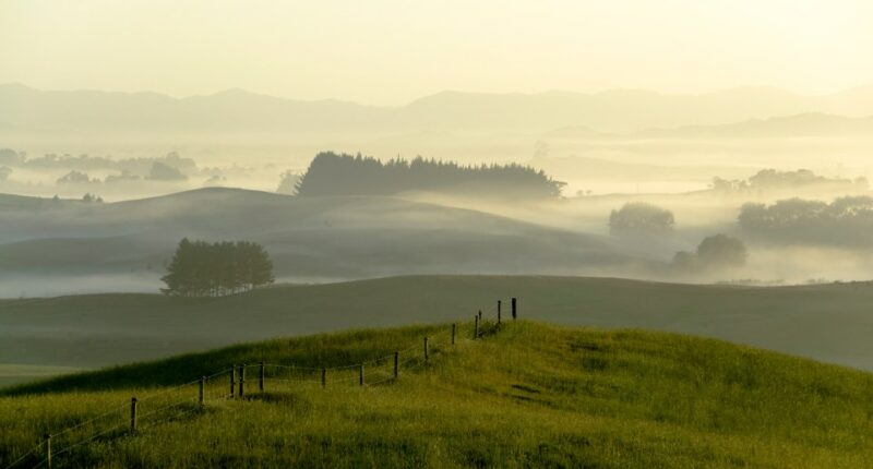 Misty sunrise over rolling hills and farmland.
