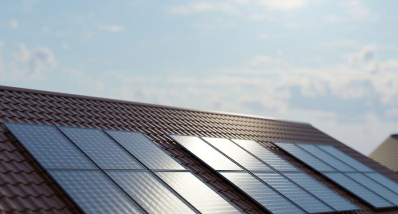 Federal grant to help Florida low-income families get affordable solar panels revoked