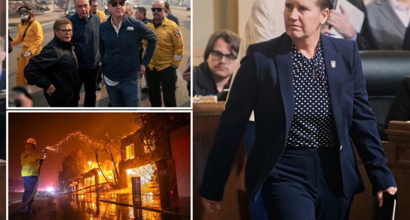 Fired LA fire chief, who was blasted for slow response to deadly wildfires, sues the city