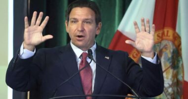 Florida GOP, DeSantis may follow Texas’s redistricting lead