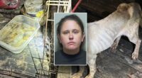 Florida woman leaves teen, 7 dogs home alone to go on Vegas vacation: police