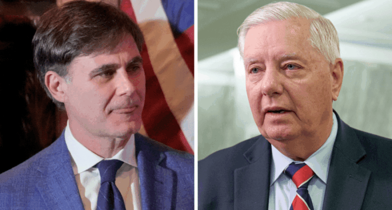 Former South Carolina lieutenant governor suspends Senate campaign against Graham