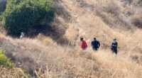 A group of people searching a dry, grassy hillside.