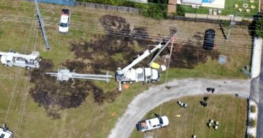 Friend of 3 Duke Energy contractors 'heartbroken' after deadly electrical incident in Pinellas Co.