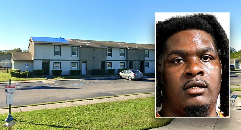 Fugitive knocks down officer during dramatic arrest after 2-year manhunt in Florida