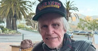 Gary Busey, 81, pleads guilty to sex crimes charge after groping woman