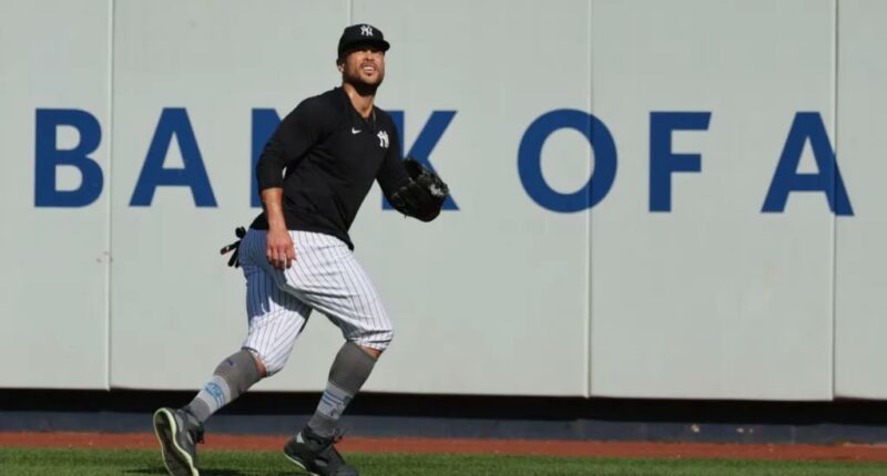 Giancarlo Stanton is giving the Yankees everything they ask for