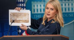 Gov Newsom rips Karoline Leavitt, slamming WH's $200m ballroom plan