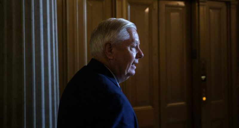 Graham predicts Russia-Ukraine war ceasefire before Christmas