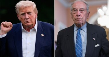 Grassley places holds on three Trump Treasury nominees