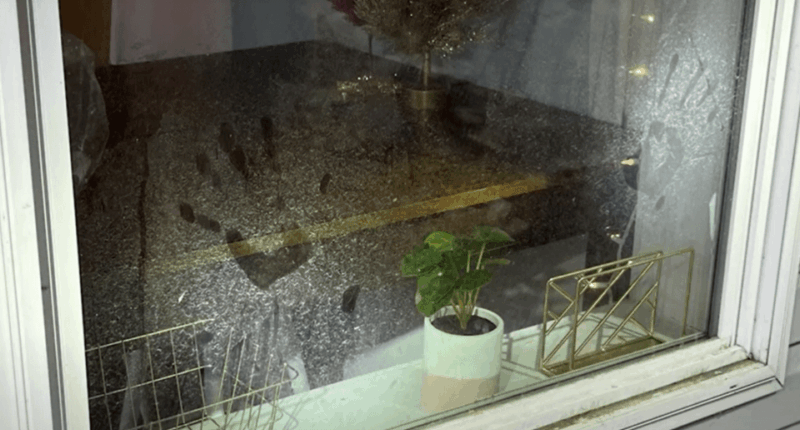 Handprints on a window.