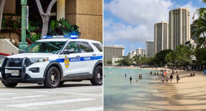 Hawaii man severely burned in heinous acid attack -- and the raging lunatic who hurled the toxic liquid remains at large