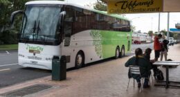 InterCity Gold bus parked outside Tiffany's Cafe & Restaurant.