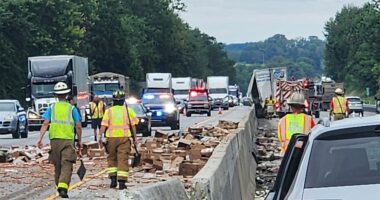 Hot dogs spill across interstate after tractor trailer crash to clog commute for steamed motorists