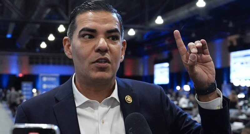 House Dem says Epstein estate will hand over 'birthday book,' docs to lawmakers