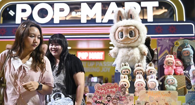 How Labubus made businessman Wang Ning  a billionaire