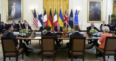 How Trump introduced European leaders