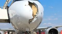 Huge damage to front of plane struck by bird after leaving Spain