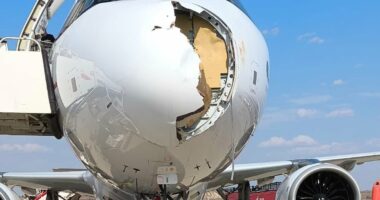 Huge damage to front of plane struck by bird after leaving Spain