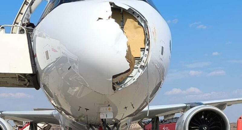 Huge damage to front of plane struck by bird after leaving Spain