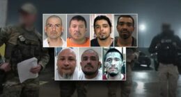 ICE Houston arrests more than 350 gang members -- and it's not just MS-13