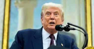 Indiana woman faces federal charges for social media threats to disembowel Trump