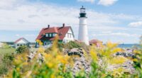 Island getaway forced to go VEGAN as tick-borne illness explodes