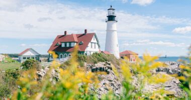 Island getaway forced to go VEGAN as tick-borne illness explodes