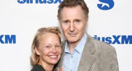 Janice Dickinson's comments about Liam Neeson's manhood resurface