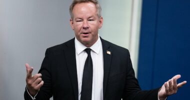 Journalist who slammed Zelensky's clothes reunites with president