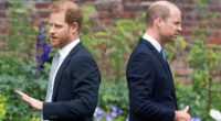 King's former butler says 'we may never see royals united in public'