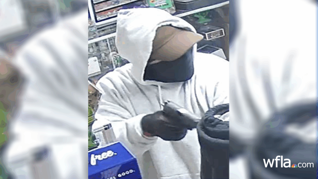 Lakeland couple arrested after series of armed robberies in Tampa: DOJ