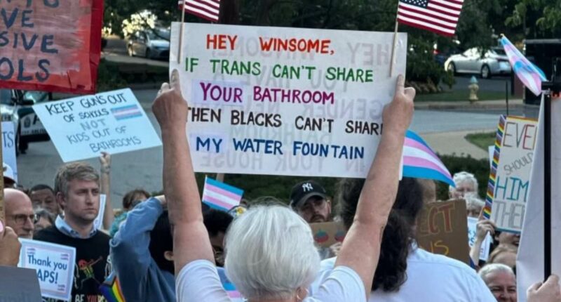 Liberal white woman mocked for racist sign at Black Republican's event