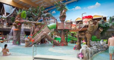 Children's water play area with whimsical tree and mushroom sculptures.