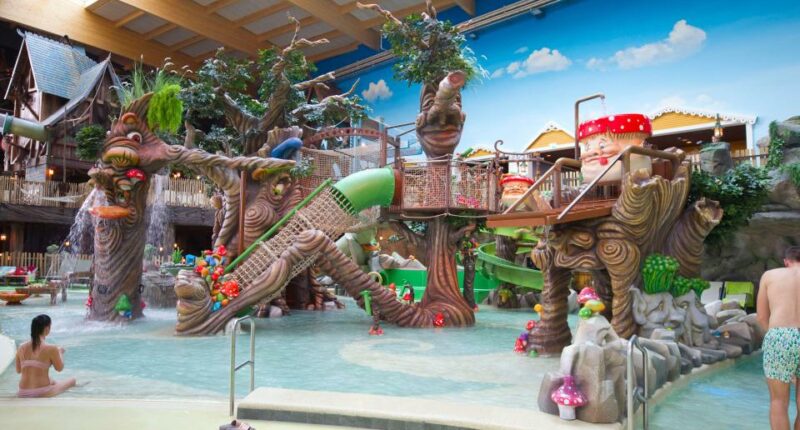 Children's water play area with whimsical tree and mushroom sculptures.