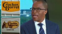 MSNBC host Jonathan Capehart sick of 'snowflakes' slamming Cracker Barrel logo redesign
