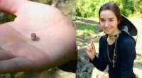 Manhattan woman finds 2.3-carat diamond for engagement ring after three-week quest
