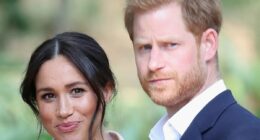 Meghan Markle aides claim she had an 'infinite capacity for revenge'